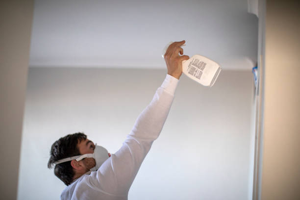 Best Mold Remediation  in Lawrence, KS