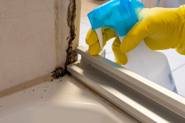 Best Fast Mold Removal  in Lawrence, KS