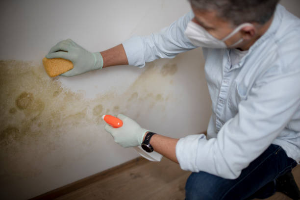 Crawl Space Mold Removal in Lawrence, KS