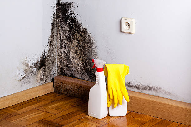 Best Crawl Space Mold Removal  in Lawrence, KS