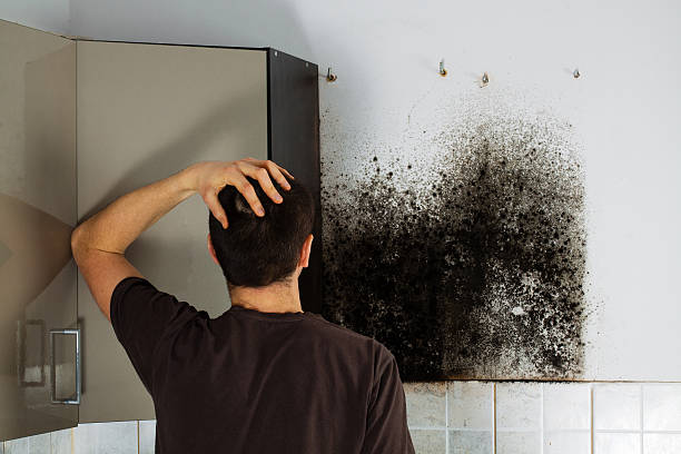 Attic Mold Removal in Lawrence, KS