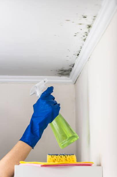 Best Mold Testing  in Lawrence, KS